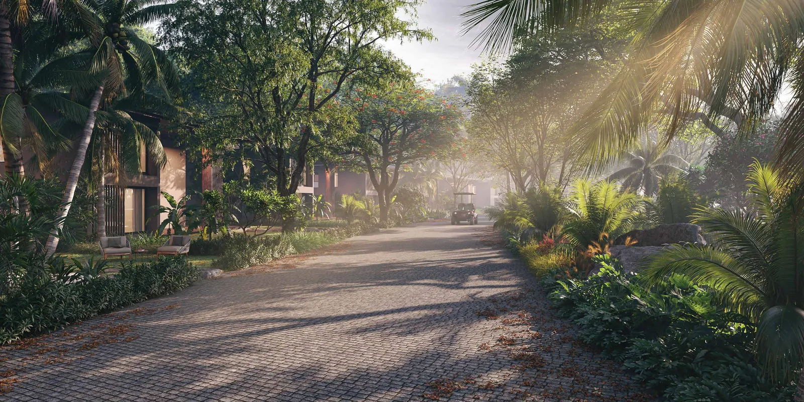 Aqua City: Tree-lined avenue