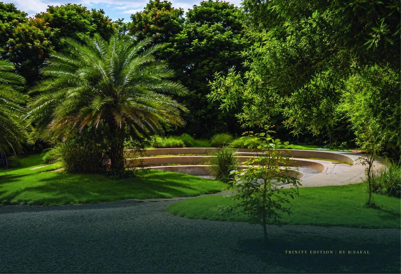 Trinity Edition: Natural trails