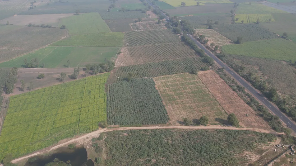 Winged World: Actual site, aerial view